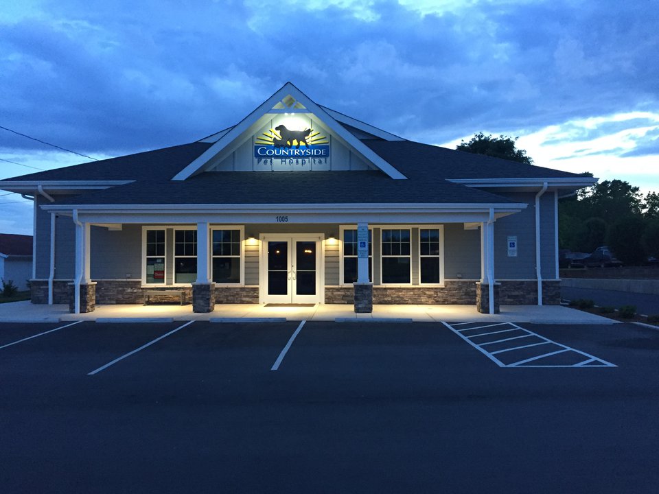 lights on - dusk #3.JPG